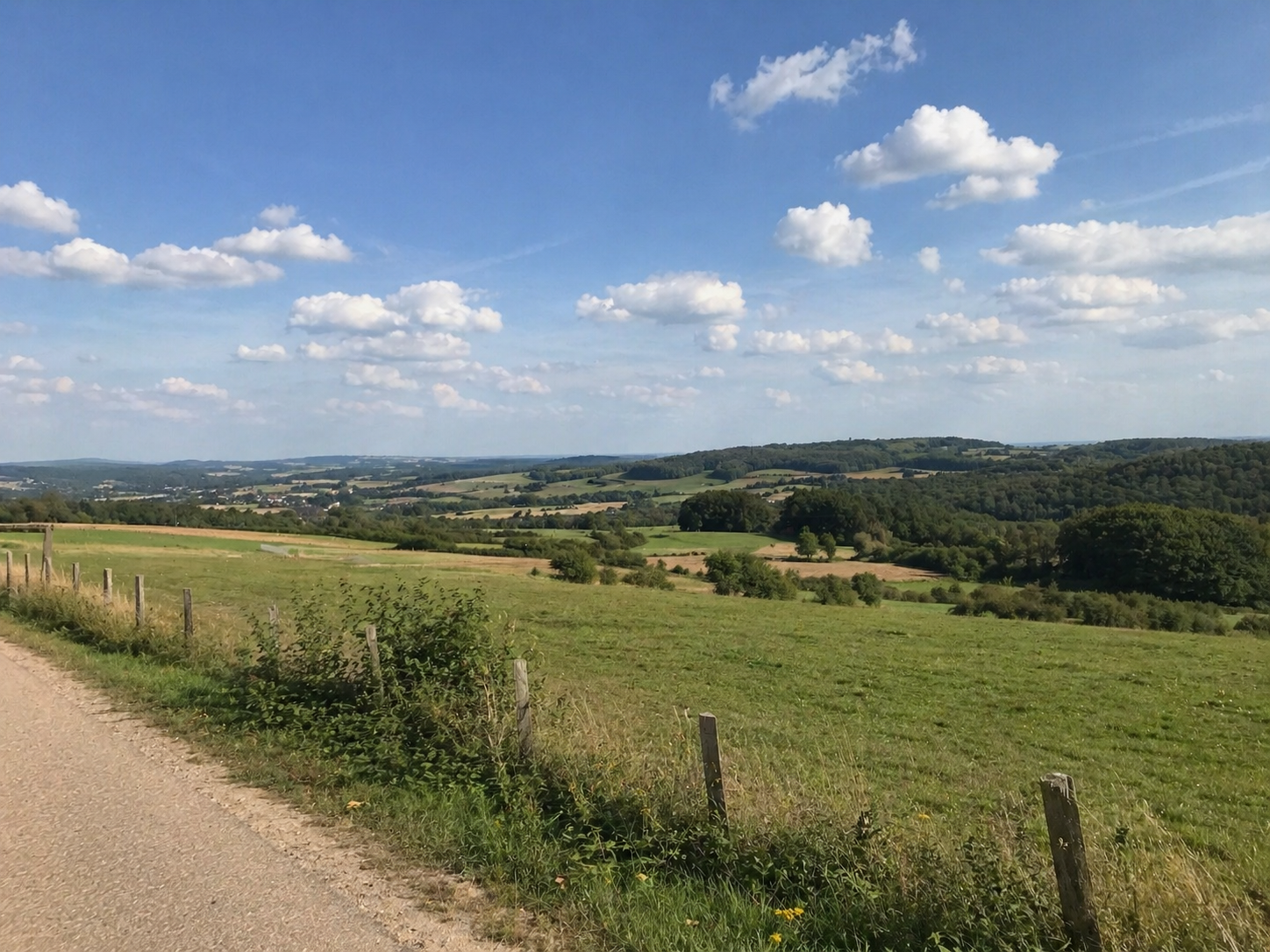 provincie-limburg Kaart van de provincie Limburg met steden en wegen