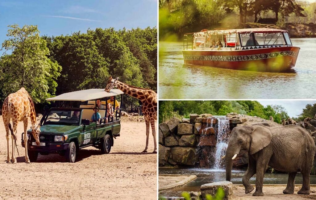 Afbeelding bij Entreeticket Safaripark Beekse Bergen: een dagje uit in de dierentuin Afbeelding bij Entreeticket Safaripark Beekse Bergen: een dagje uit in de dierentuin