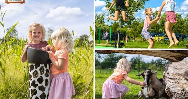 Kinderen spelen bij de speelboerderij van De Drentse Koe, met op de achtergrond een boerderij en weilanden.