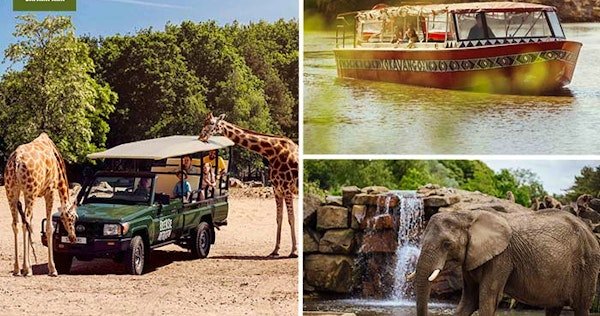 Giraffen en leeuwen in het Safaripark Beekse Bergen, een populair dagje uit in Nederland voor gezinnen en dierenliefhebbers.