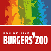 Afbeelding bij Entreeticket Arkmuseum: alles wat je moet weten voor een bezoek