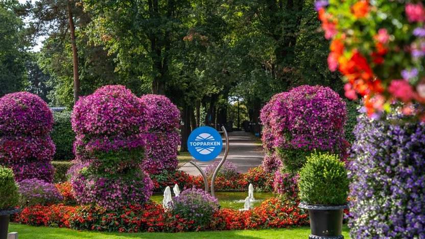 Afbeelding bij Boshoeve 8 personen Wellness (Spa) in Limburg en Zuid-Holland