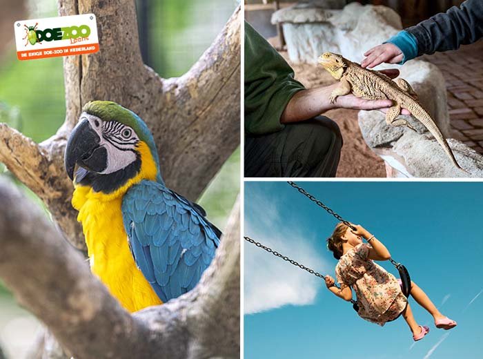 Afbeelding bij Entreeticket DoeZoo in Leens Kinderen voeren geiten bij de DoeZoo in Leens, een betaalbaar dierenparadijs voor een dagje uit.