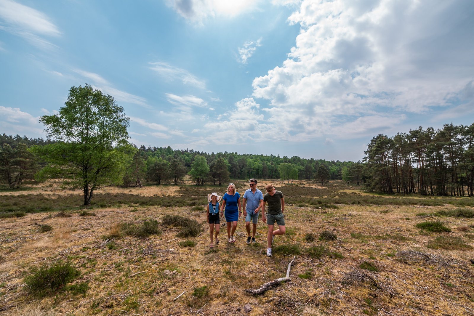 Luxe vakantiehuisjes van EuroParcs De Hooge Veluwe, gelegen aan de rand van het Nationaal Park De Hoge Veluwe.