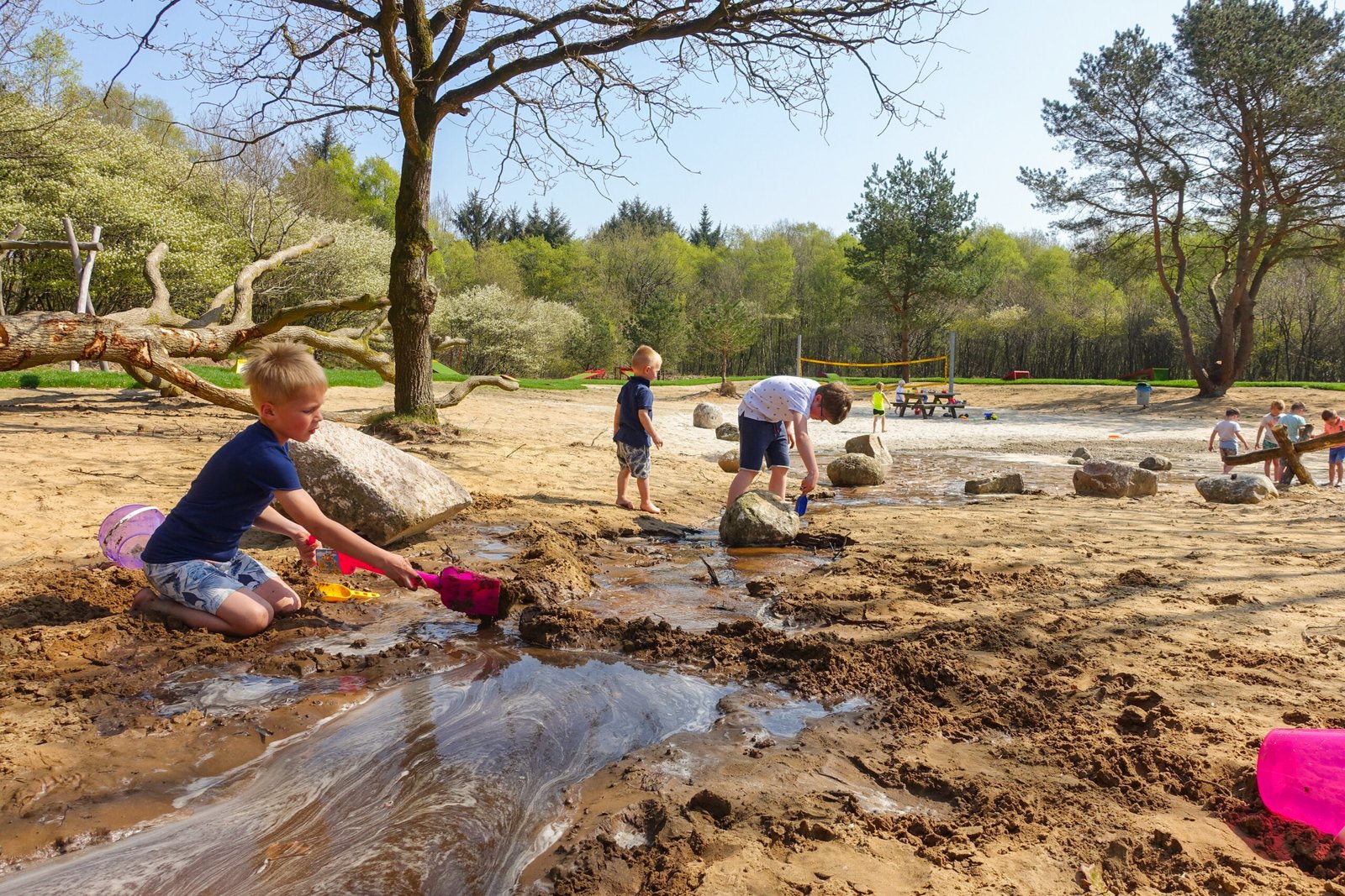 Natuurspeeltuin bij EuroParcs Ruinen met houten speeltoestellen tussen het groen, omringd door bomen en struiken.