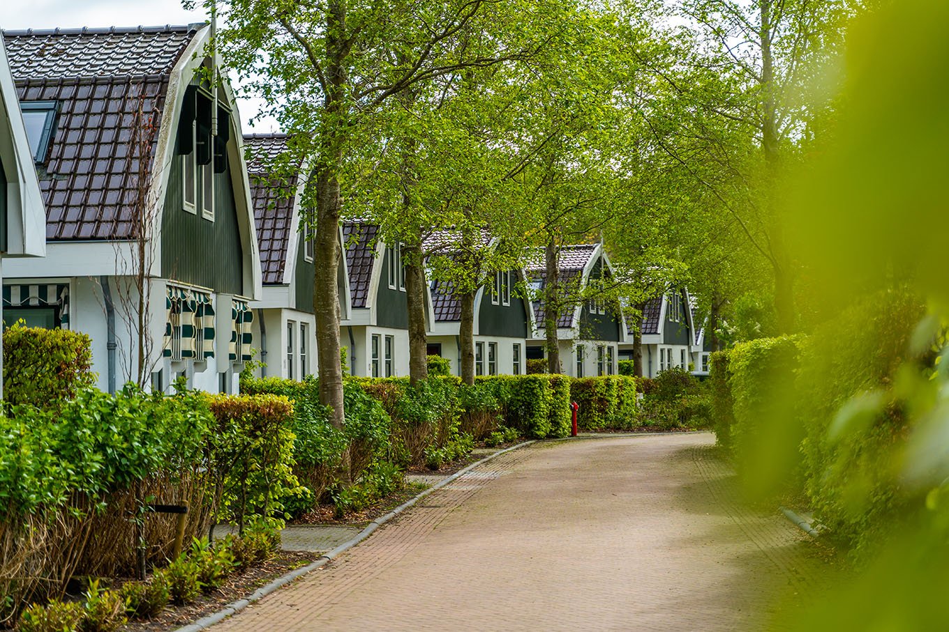 Luxe vakantiehuisje van EuroParcs Koningshof aan de rand van de Schoorlse Duinen, met uitzicht op groen en duinen.