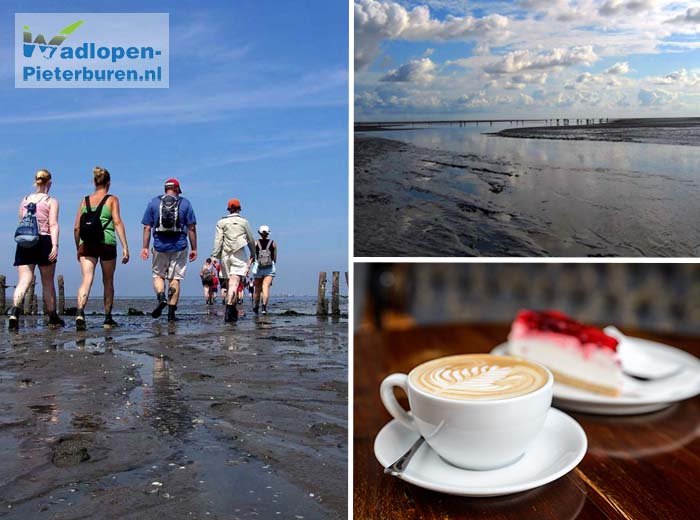 Kinderen en volwassenen lopen over de waddenbodem tijdens een korte wadlooptocht, met op de achtergrond de horizon en een gids die de weg wijst.