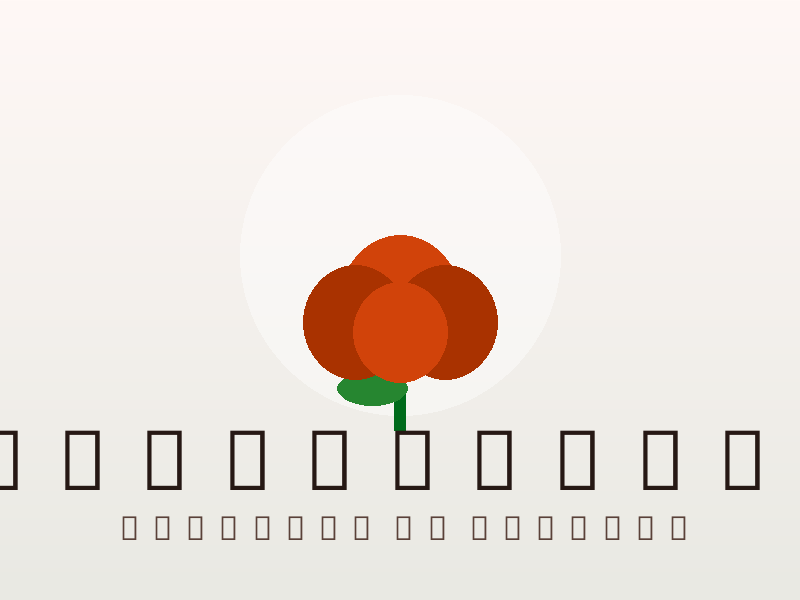 Stijlvolle illustratie van de provincie Noord-Holland